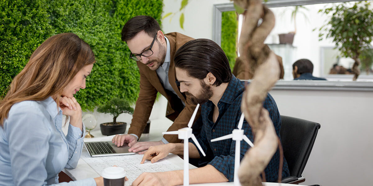 sun4u - Il green job: in crescita la richiesta di competenze nel settore green.